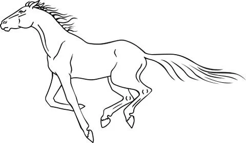 The horse gallops. linear drawing. Running horse - a linear picture for coloring Stock-Illustration