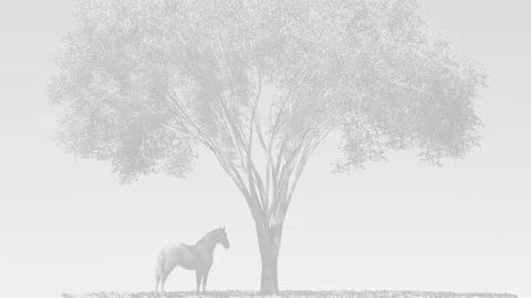Horse Grazing Under a Large Tree in Minimalist White Background Stock Footage 331049553