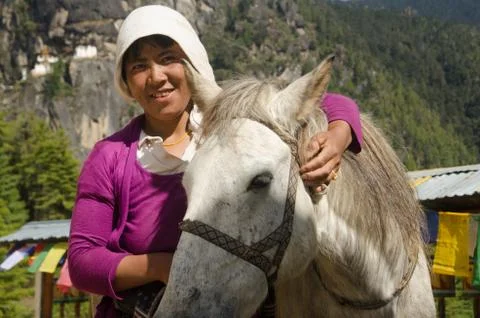 Horse guide Stock Photos