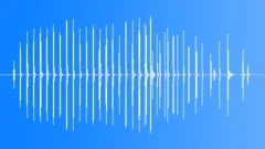 Horse On Hard Surface Sound Effect