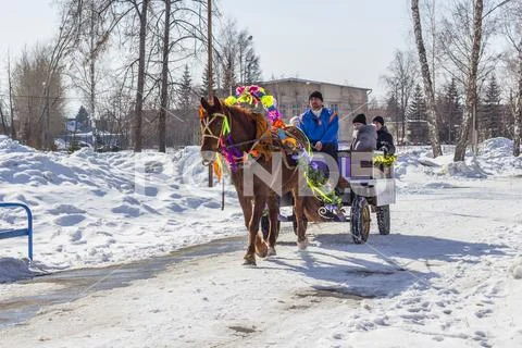 The horse harnessed by the cart is lucky people on the Russian holiday Masl.. Stock Photos