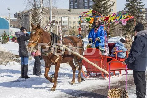 The horse harnessed by the cart is lucky people on the Russian holiday Masl.. Stock Photos