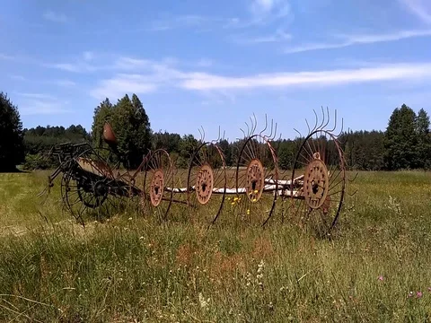 Horse hay rake and hay tedder machines Stock Footage 80910339