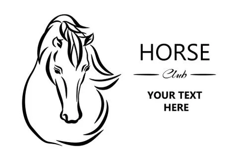 Horse head graphic template, vector illustration on white background. Stock Illustration