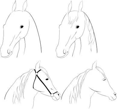Horse head Illustrazione stock