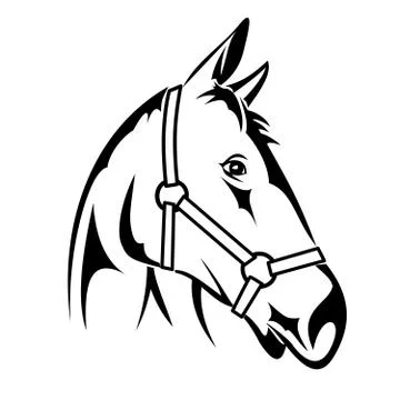 Horse  Head Stock Illustration