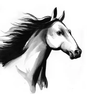Horse head Stock Illustration