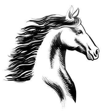 Horse head Illustrazione stock
