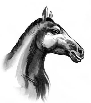 Horse head Illustrazione stock