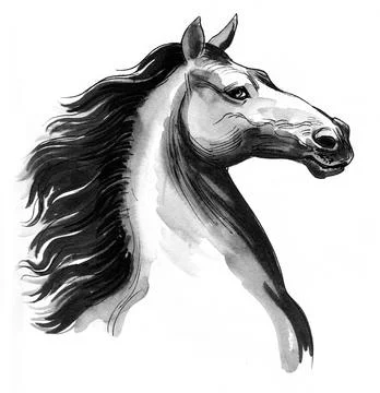 Horse head Illustrazione stock