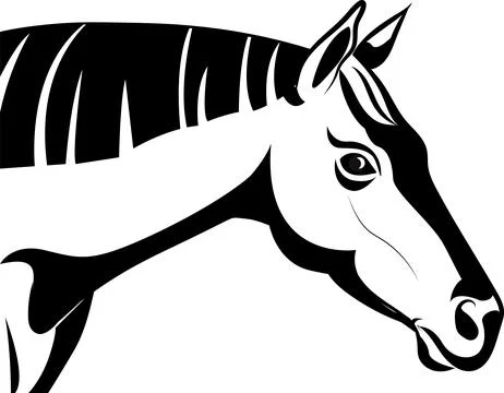 Horse head Stock Illustration