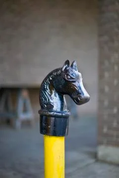 Horse head Stock Photos