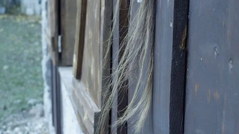 A horse head statue Stock Footage 119920146