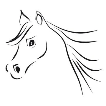 Horse head on white background Stock Illustration