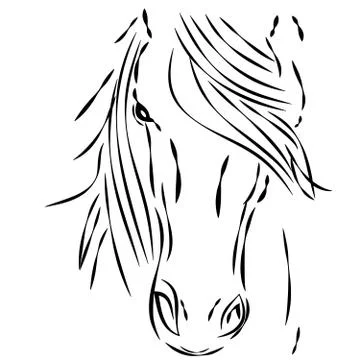 Horse head on white background Stock Illustration