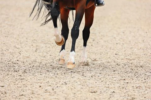 Horse hooves close-up when does the gallop. Details of equestrian sports Stock Photos