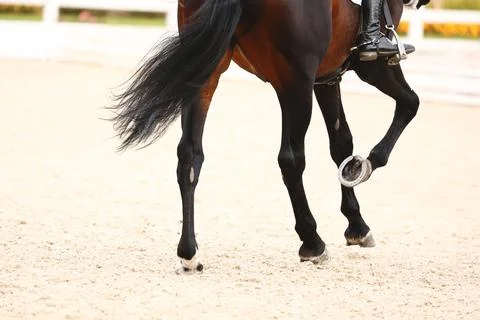 Horse hooves close-up when does the gallop . Details of equestrian sports Stock Photos