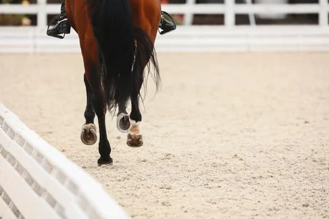 Horse hooves close-up when does the gallop . Details of equestrian sports Stock Photos
