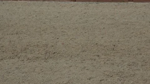 Horse hooves Video stock 130639598