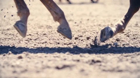 Horse hooves galloping in slow motion close up 4K Stock Footage 78796255