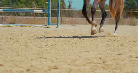 Horse Hooves Galloping In Slow Motion Close Up 4k Stock Footage 343624022