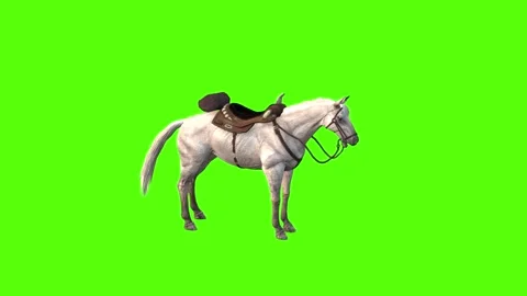 Horse Idle Green Screen Animation and 3D... | Stock Video | Pond5