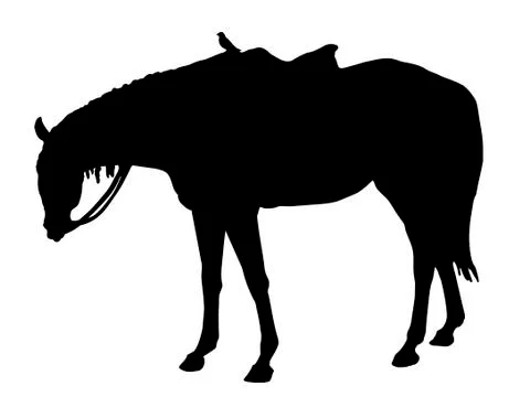 The horse.  Stock Illustration