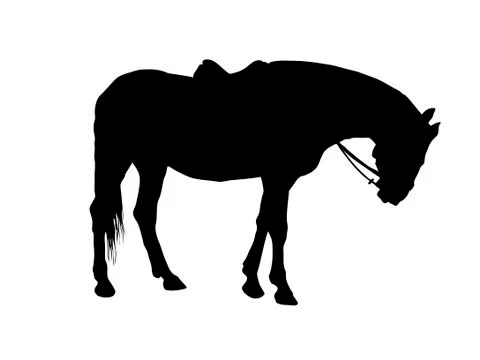 The horse. Stock Illustration