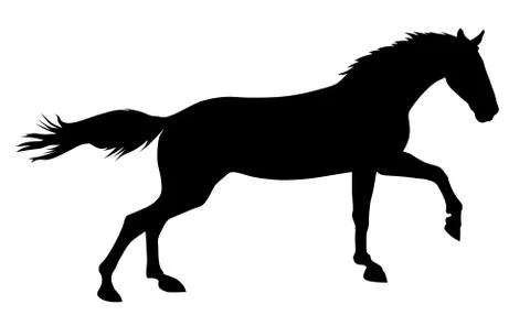 Horse Stock Illustration