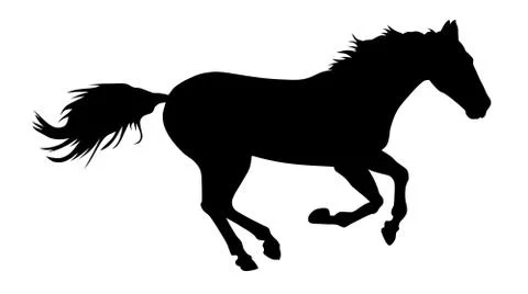 Horse Stock Illustration