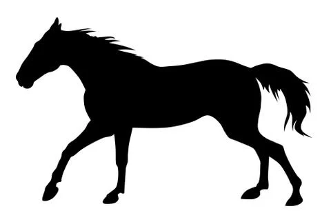 Horse Stock Illustration