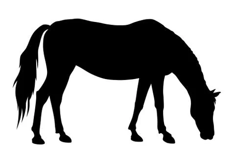 Horse Stock Illustration