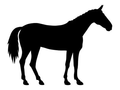 Horse Stock Illustration