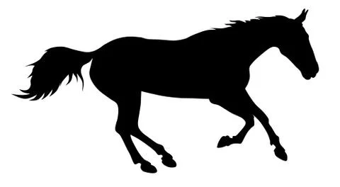 Horse Stock Illustration