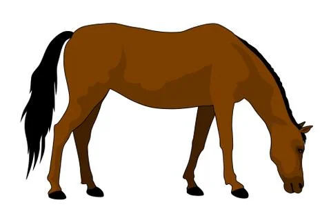 Horse Stock Illustration