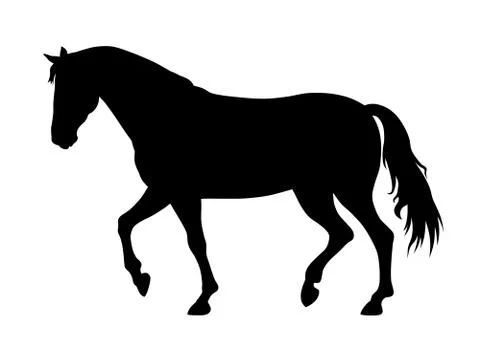 Horse Stock Illustration