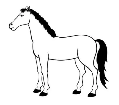 Horse Illustrazione stock