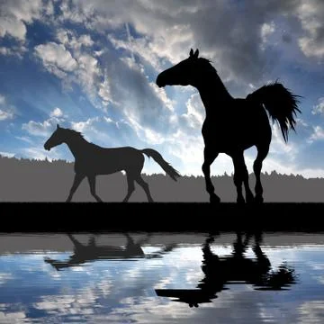 Horse  Stock Illustration