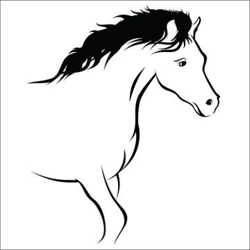Horse Stock Illustration