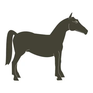 Horse Stock Illustration