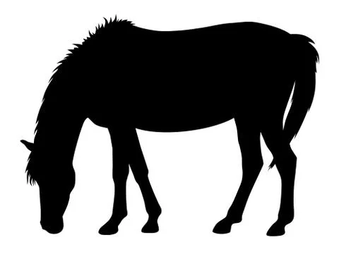 Horse Stock Illustration
