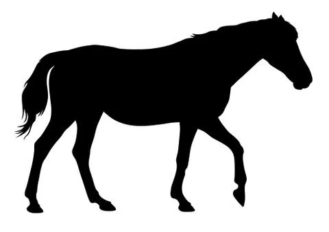 Horse Stock Illustration