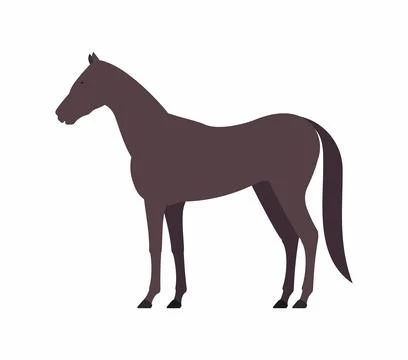 Horse Stock Illustration