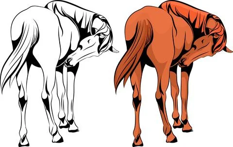 Horse Stock Illustration