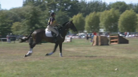 Horse  jump Stock Footage 665008