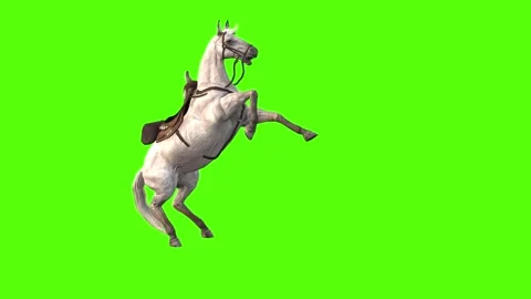 Horse Jump Green Screen Animation and 3D... | Stock Video | Pond5