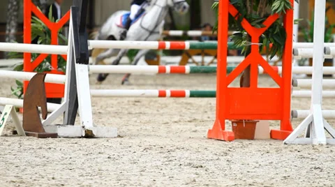 Horse jump a hurdle Stock Footage 37845249
