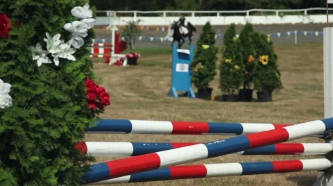Horse jumping competition Stock Footage 41455734