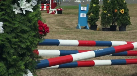 Horse jumping competition. Stock Footage 41752101