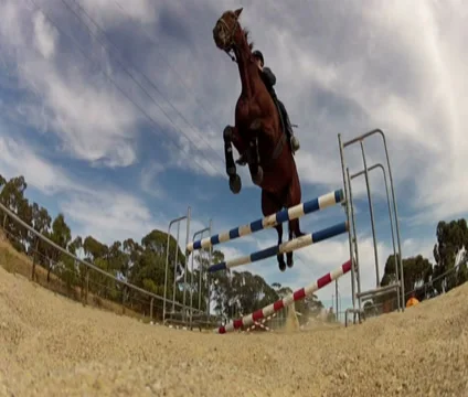 Horse jumping Stock Footage 33403554